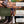 Load image into Gallery viewer, Renapur Leather Cleaner Spray