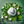 Load image into Gallery viewer, Renapur Trainer and Shoe Cleaner highlighting natural plant-based ingredients, which are non-toxic, kind to the planet and gentle on your shoes.