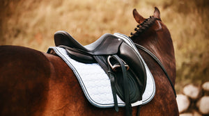 A shiny leather saddle on the back of a horse