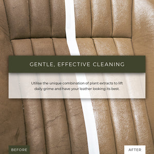 Renapur Leather Cleaner Spray