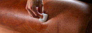 Applying Renapur Leather Balsam sparingly to a brown leather sofa